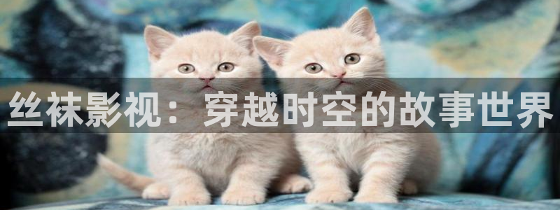 午夜成年人黄色片
