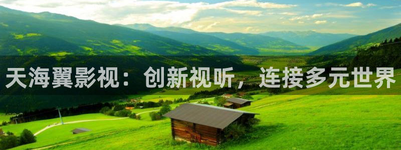 欧美午夜免费高清在线观看