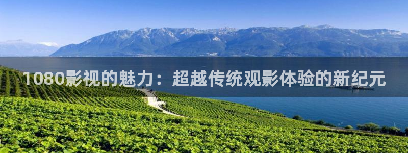 免费午夜电影在线直播看