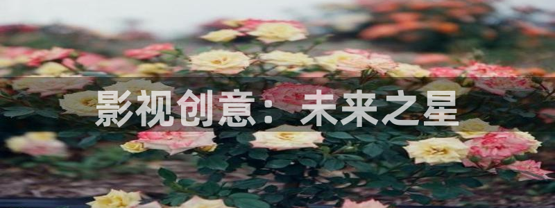 午夜影院三级