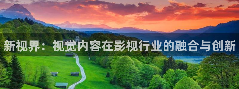 午夜在线视频网