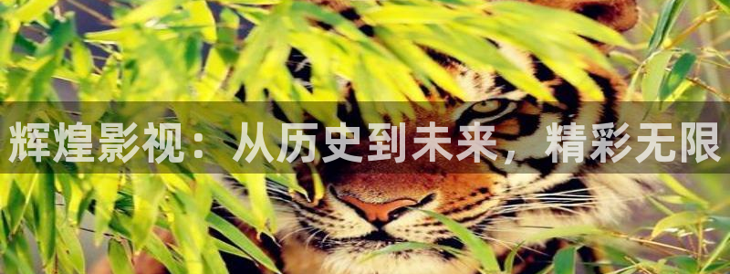 午夜毛片性