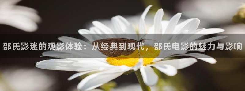 午夜诊所电影