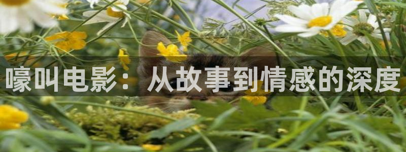 午夜aⅴ影院免费观看