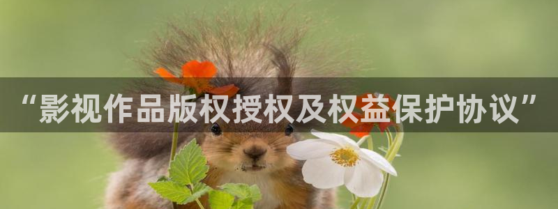 亚洲午夜电影