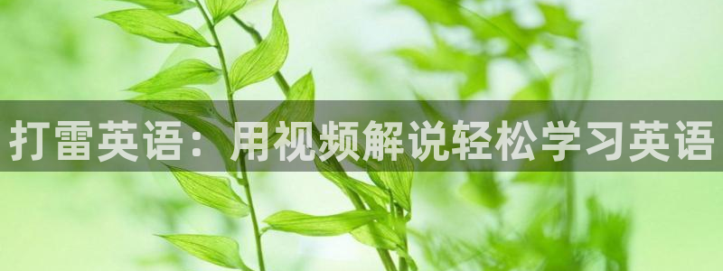 神马电影午夜不卡