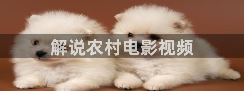 成年午夜在线视频