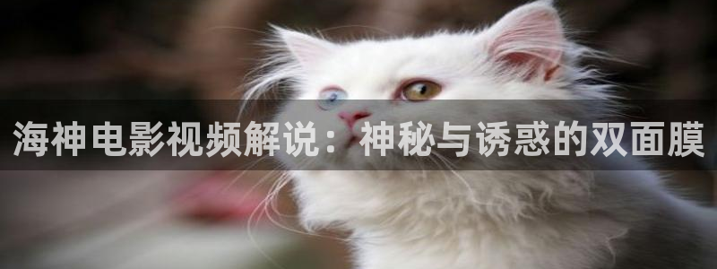 男女午夜影院在线观看视频