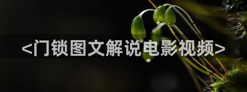 新闻图片